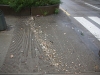 IMG_6860 IMG_6860