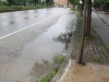 IMG_6861 IMG_6861