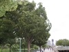IMG_6872 IMG_6872