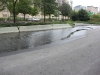 IMG_6880 IMG_6880