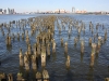 IMG_6270 IMG_6270