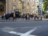 IMG_6339 IMG_6339