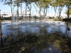 IMG_6351 IMG_6351